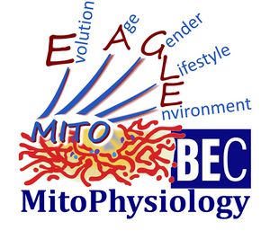 MitoPhysiology BEC 2020.1.jpg