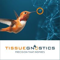 TissueGnostics Logo.jpeg